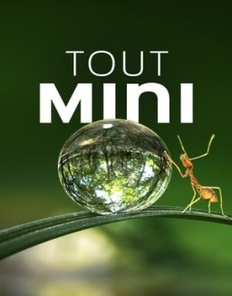 Tiny World saison 1